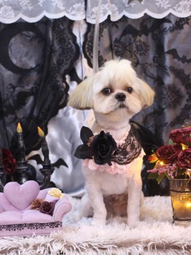 20231003ララくん